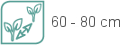 icon distance plantation 60 80cm